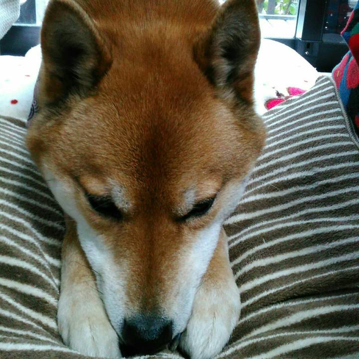 85f268db 44df 4ad9 a66f 8919a058c5dc 1520415722958