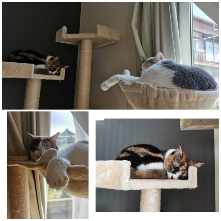 85f27b5d 9c35 427a 8bcc 0c14047bd384 1647869330595