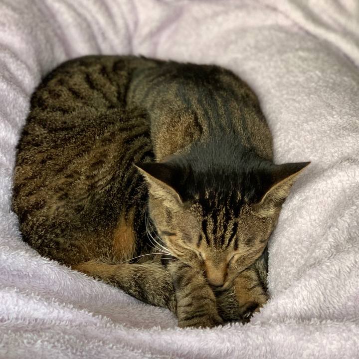 85f2abe9 6a23 485b af85 2b16200f4c76 1579568715657