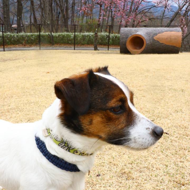 85f2ad3d 3158 4b8c 9a83 66992844600c 1553320930654