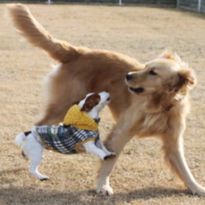 85f2f796 8478 4f69 ac6f 3ccad9766098 1513240491412