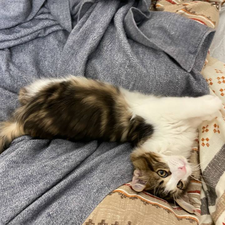 85f33aa3 d0fa 4baa a7f8 82636b90b326 1634069513772