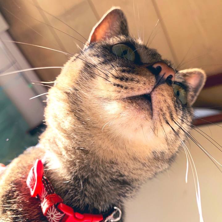 85f38269 7915 4b0f 8ba7 0ba7641f3dc9 1571101354961