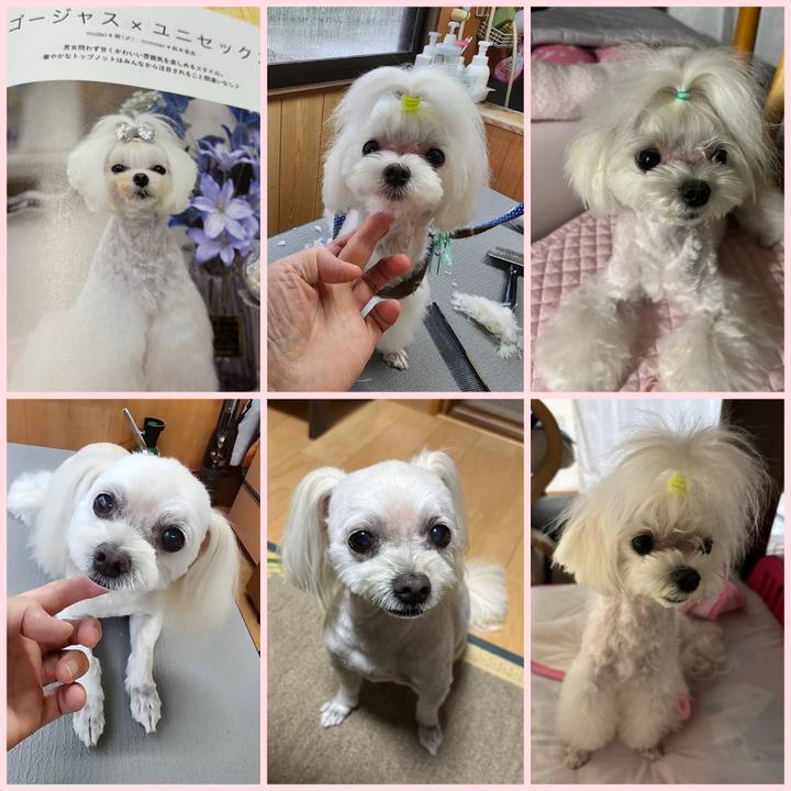 85f39739 19a9 4178 8be7 c251b5bafa7f 1752735789446