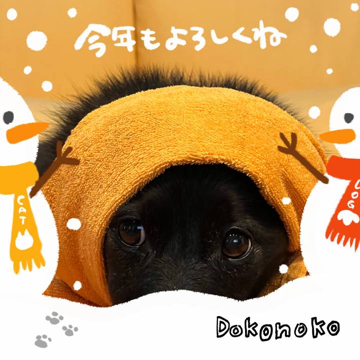 85f39eed 9fdf 479b b527 44e06a102c82 1704293037206