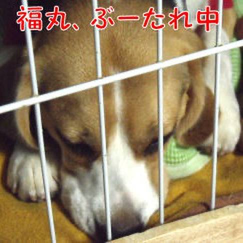 85f3acf0 e110 47f3 a6ad 77ad1e3c3b1c 1723678736298