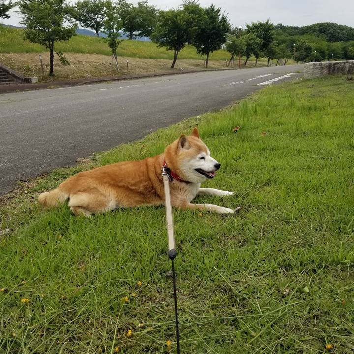 85f3b03e 64b8 4022 a7f6 47e12ec4e487 1718945617146