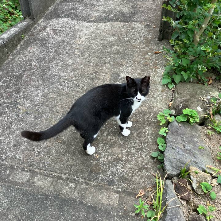 85f3c18d 2b41 4e0a bcaf 9b9f4db8d525 1764109339729