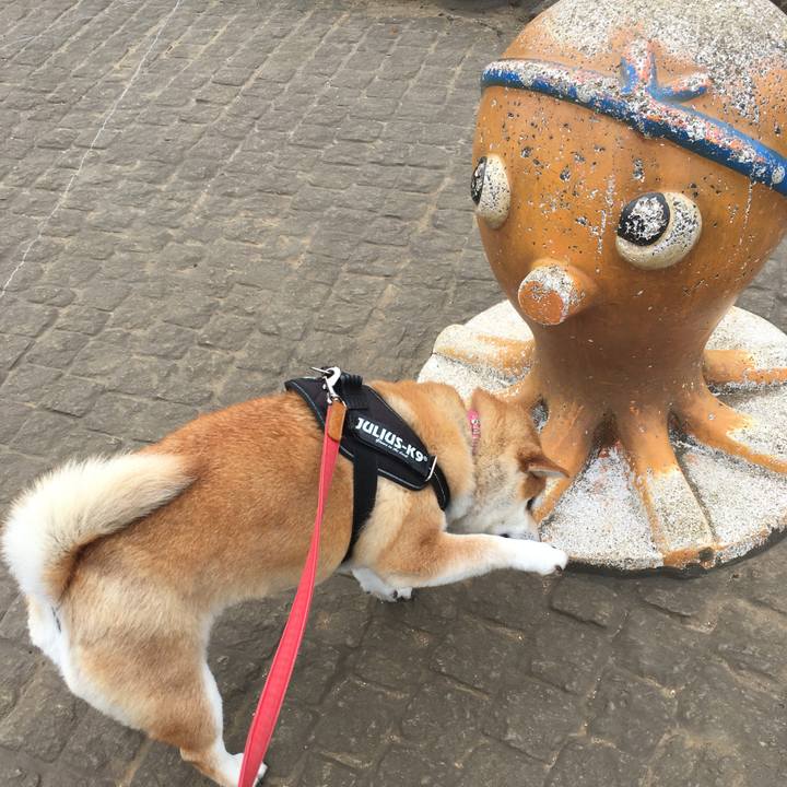 85f3ce86 e795 4c43 ad46 6d6f5781cc5d 1621127896105