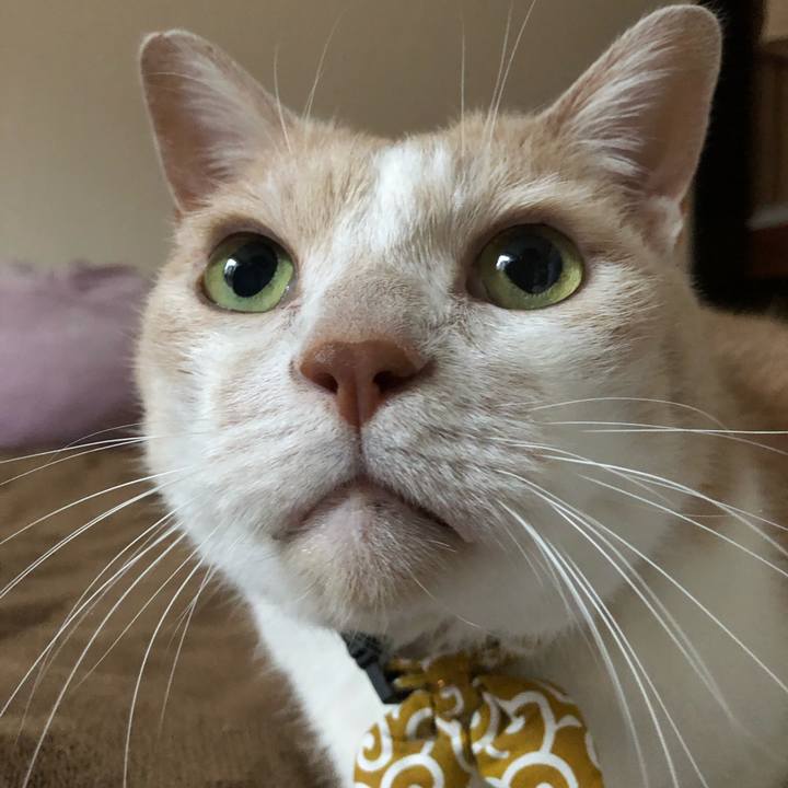 85f3e463 2968 43d0 8f7b b04b44ffb82e 1575242701362