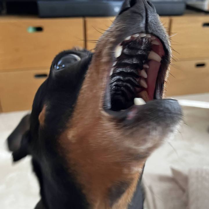 85f4060b e374 49d9 905a d427c5340517 1711405395502