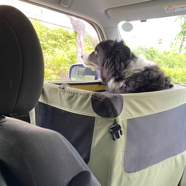 85f43e1a 0098 4e9b 91d2 ab6d32c3c247 1653873882271