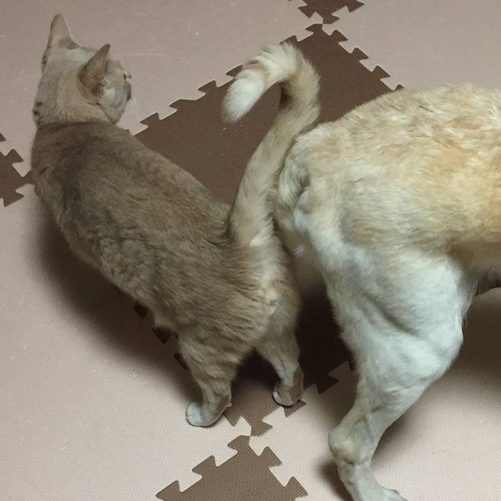 85f43ebc b2f3 470a b1b2 8b92e5d43830 1545726057143