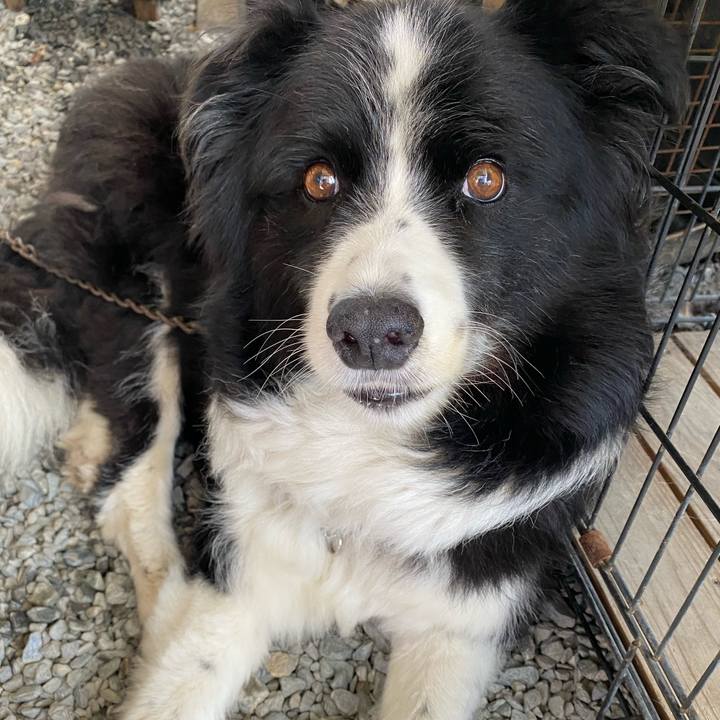 85f440c9 320e 4e28 9b62 1585a9d8e9bd 1626404729660