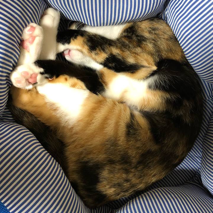 85f451ba 6c86 4002 b501 8a6cd98db1db 1564397986058