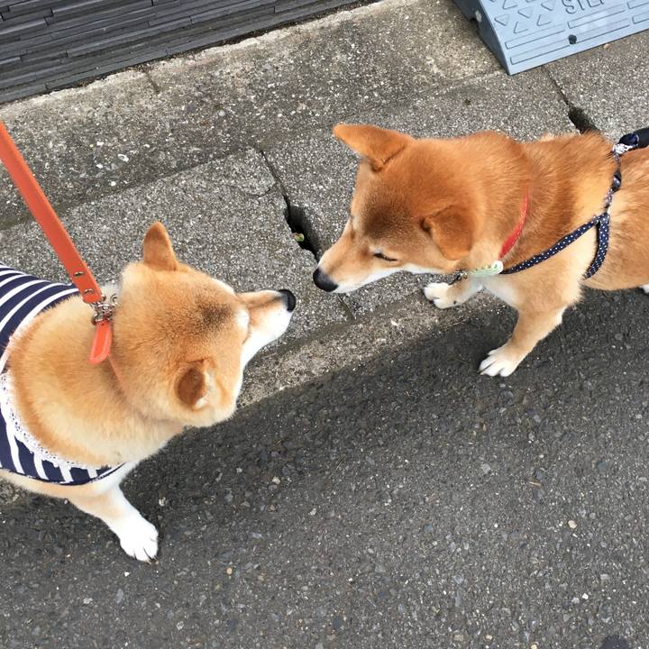 85f4afa8 5b4e 41a1 8371 5cc9fbe55ef7 1560502441247