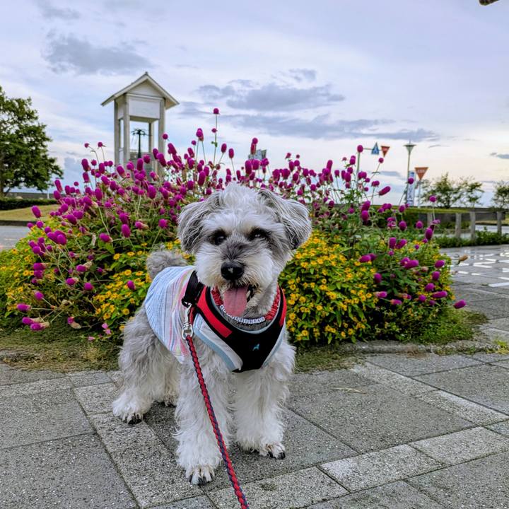 85f4cb98 218d 4bd1 82ff 22c57e55df39 1757754214765