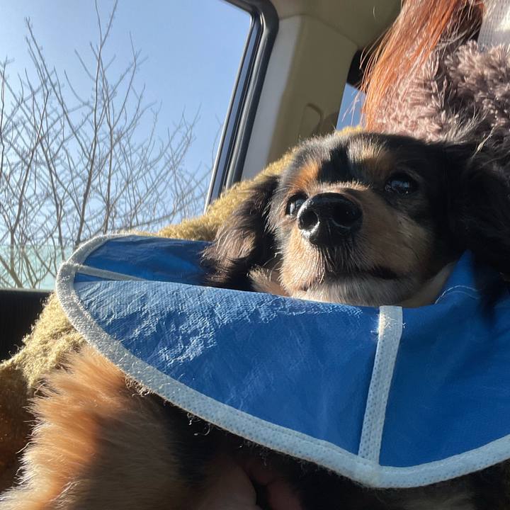 85f4cfcc af9b 4aad a51f 85cc6316be48 1613175091025