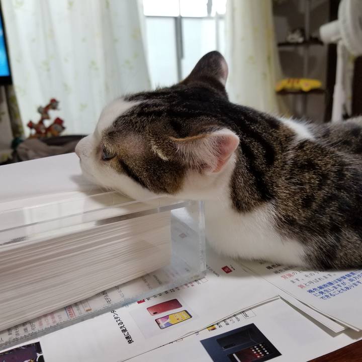 85f521ea 84c6 4f06 8a50 b013219a6eee 1622500832523