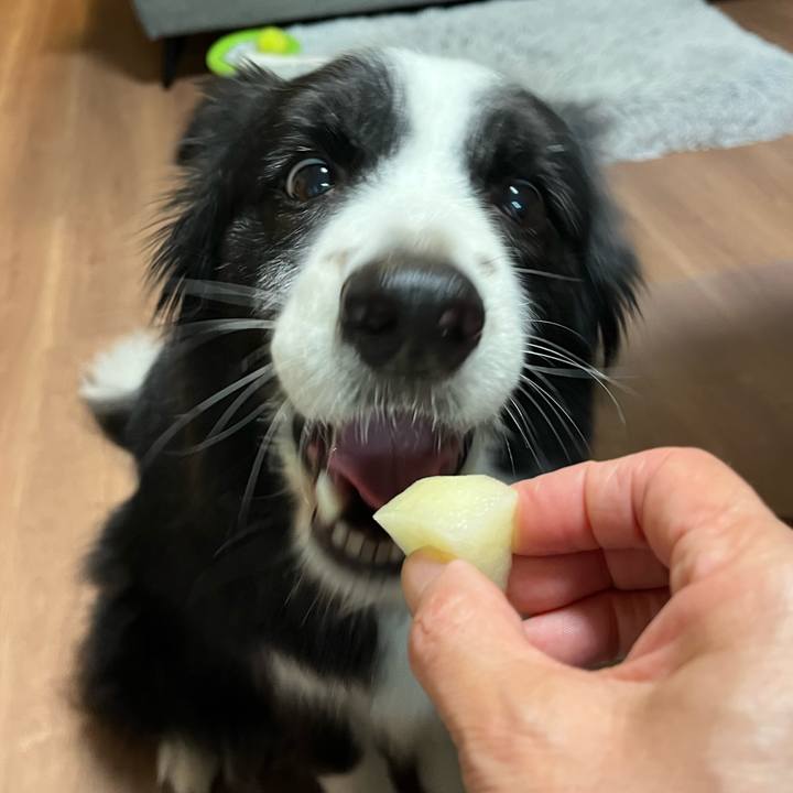 85f54e41 b78e 40b0 b83a 7f0388a148fd 1785669847198