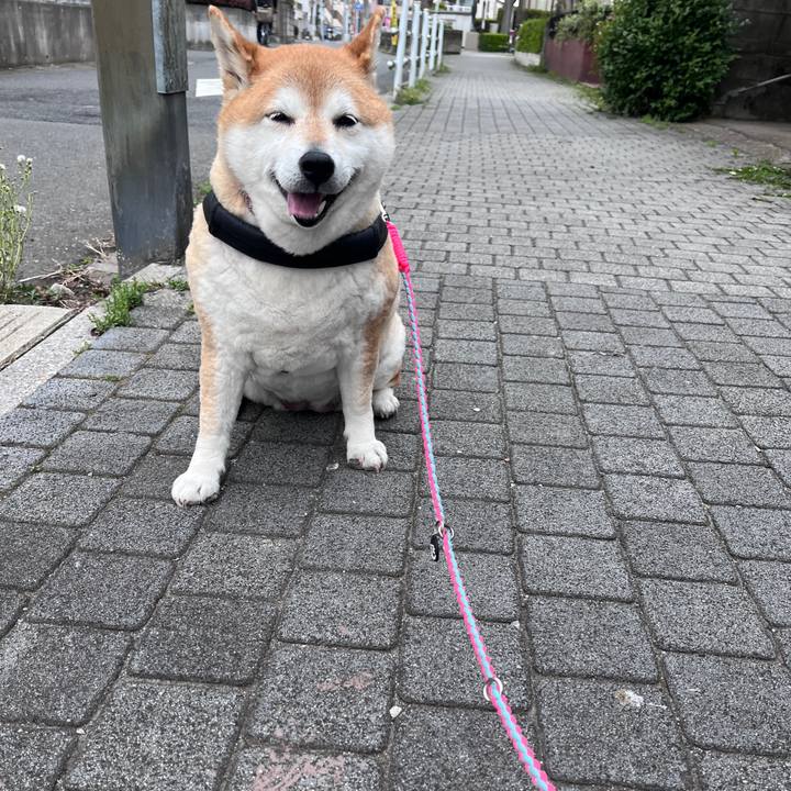 85f591ff c34e 4479 82cf 129a60315a80 1713408394408