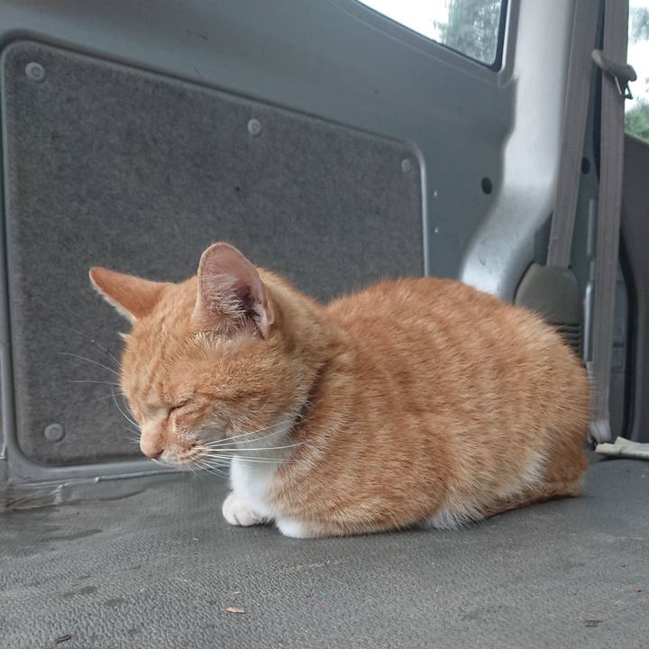 85f59c4b 7ee5 4efe b290 ed80bd199aff 1596922639514