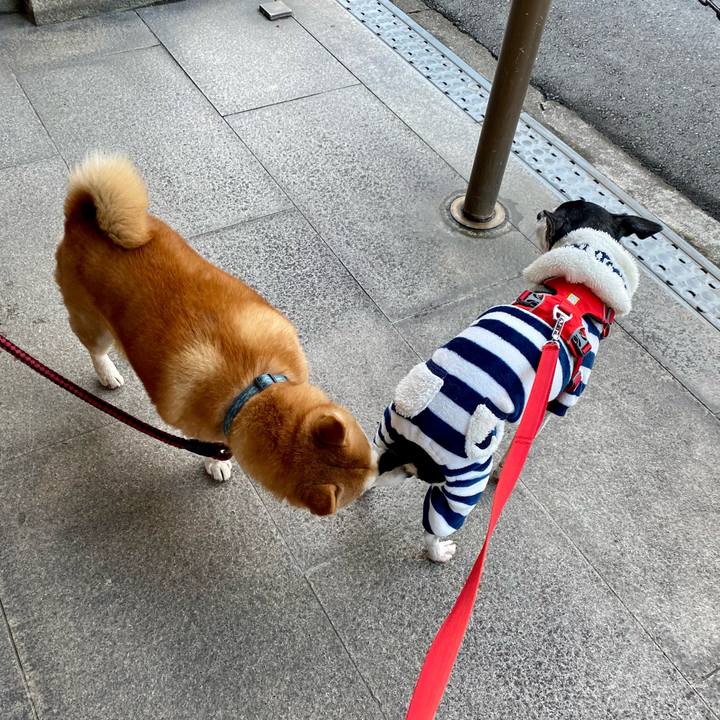 85f5fa6b ad78 423f a42b 546e7d2e17f3 1608425032289