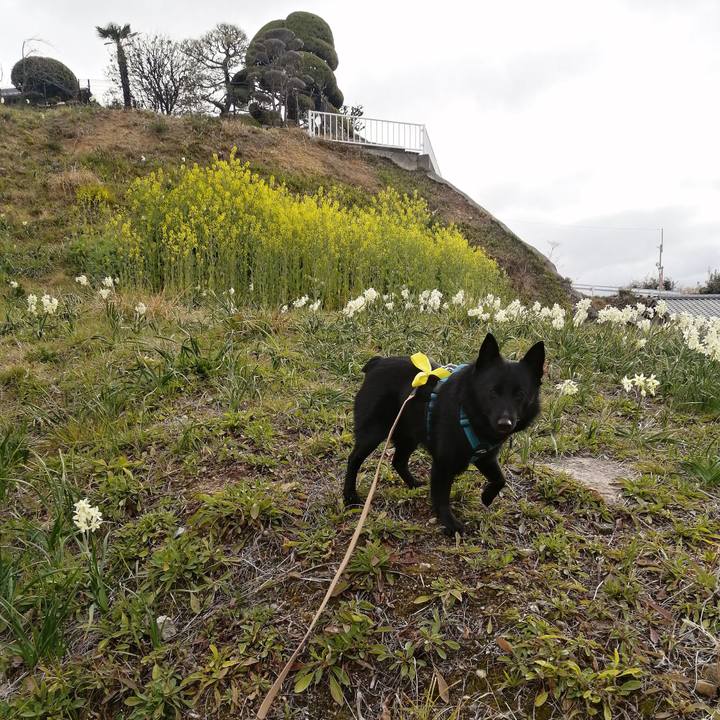 85f606a8 d8d4 44a2 a0f4 341a009a5141 1647647202664