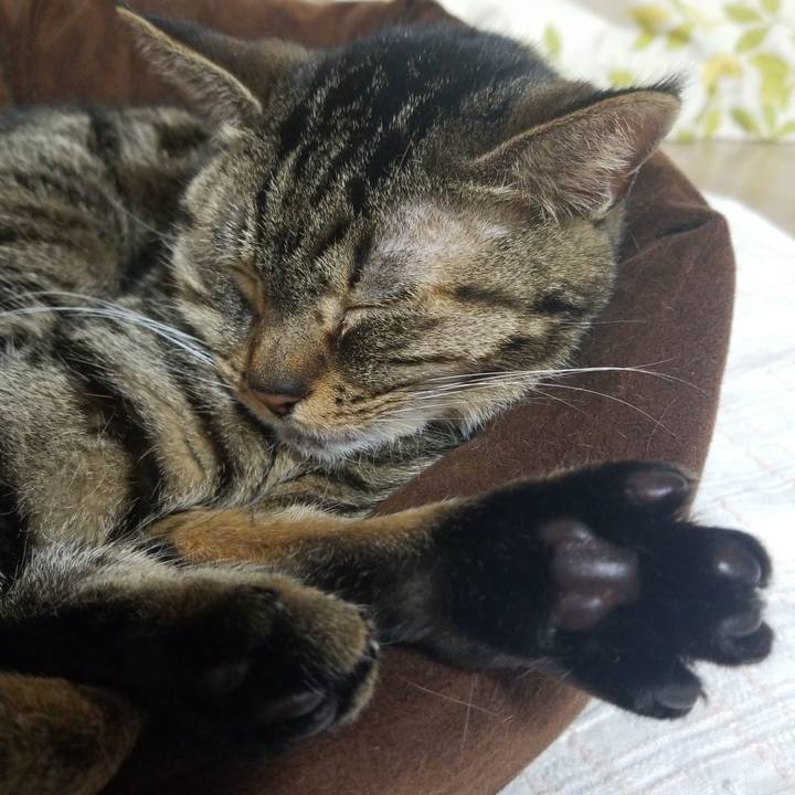 85f62540 10ee 483a 88c2 123813285301 1586000203699