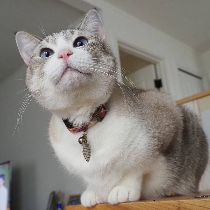 85f633ea 3f5b 470d ad0c 5b900654dda9 1680749032113