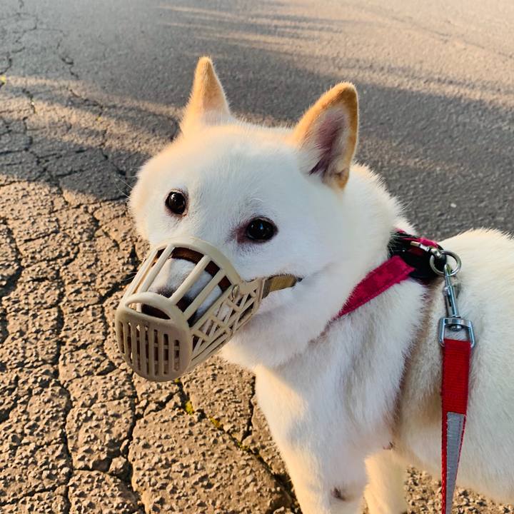 85f642f0 fa1c 4225 b9ed b5a48ced6a67 1564779926959