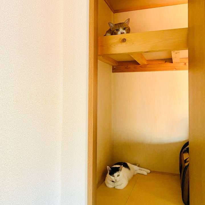 85f680ef 5bbf 4f9f b981 c62ff6d3a529 1660301757746