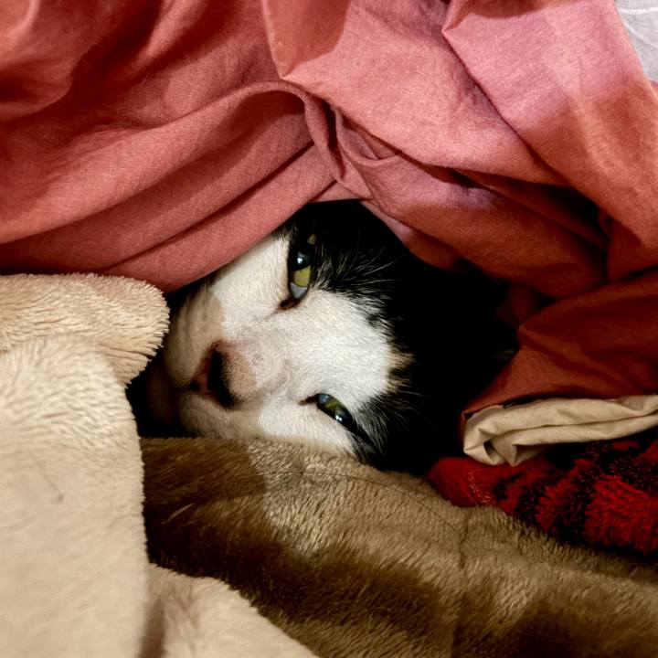 85f68737 80f3 4037 9674 d98021602a9d 1771334021768