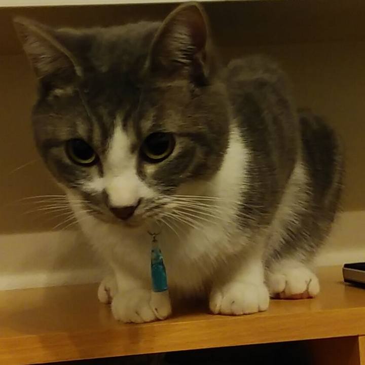 85f6f230 1148 4a1f 9262 d421c49e49ad 1581172226480