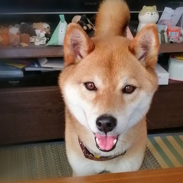 85f702ec a918 4e08 9f46 9bdb9e20afa8 1589167158525