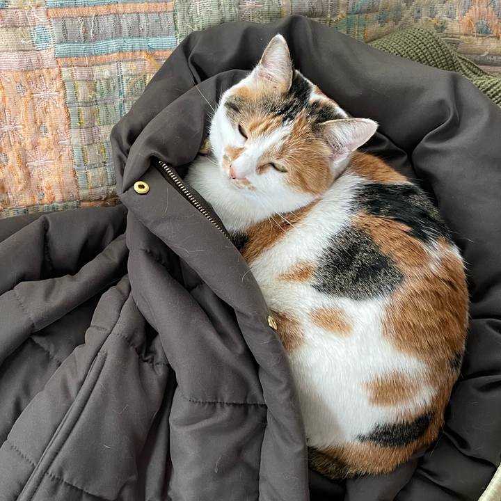 85f70602 87fb 45ea a4ce 15fed23b6d64 1642916575991