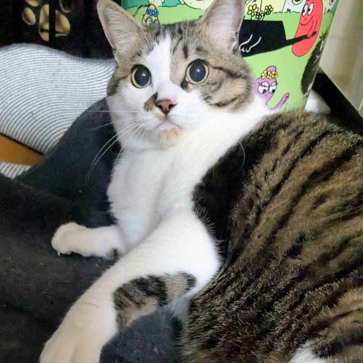 85f70ad5 0db1 47d5 a557 d1f98108e0f7 1772546931662