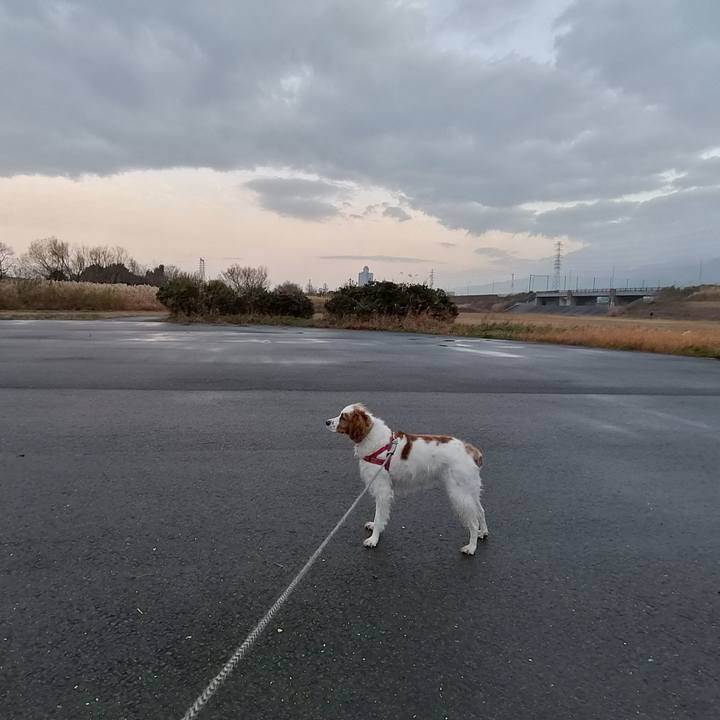 85f71511 defd 44e7 b651 c6f7c5eed1bc 1577758255706