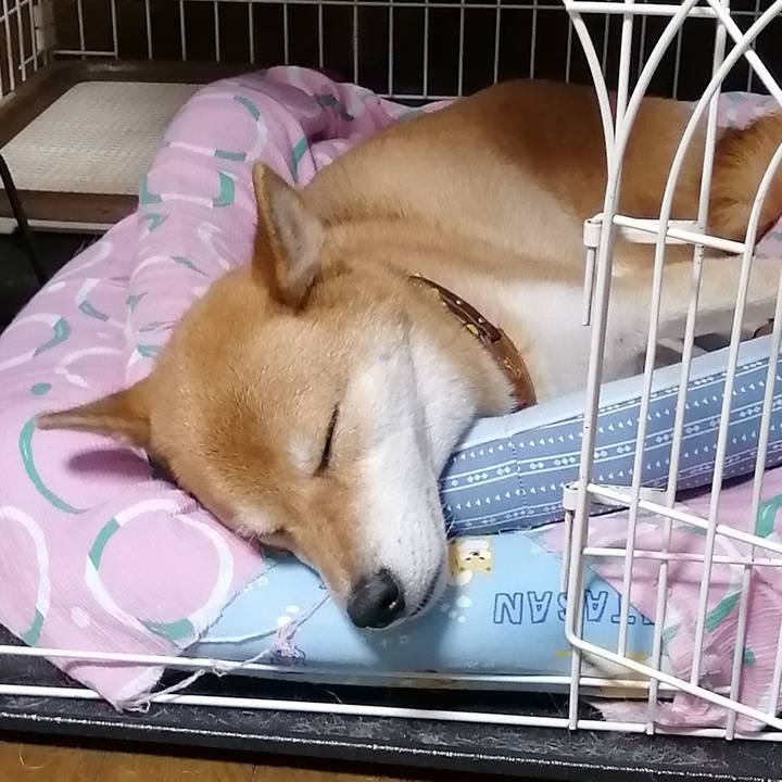 85f77a06 8f57 4768 af74 af944f887a0a 1601808498644