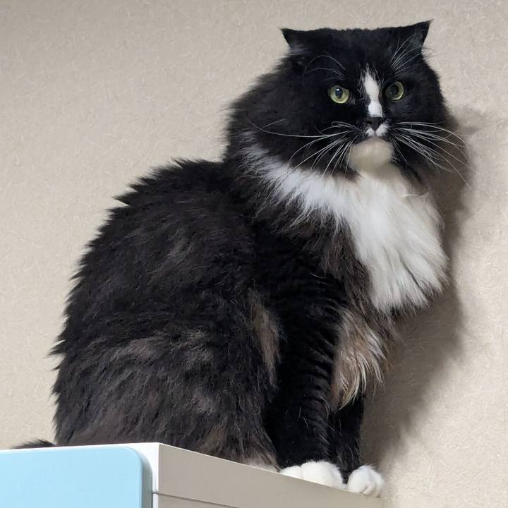 85f78953 2dd1 4fca affc 668a89e65bb5 1755771568325