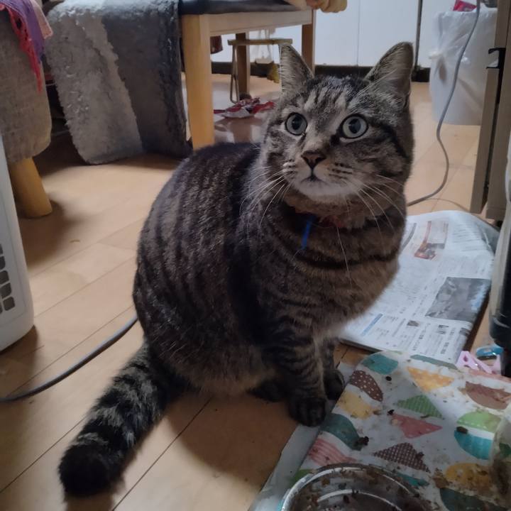 85f7ab01 91d6 4efc 9d00 864bac9b98be 1679004570196