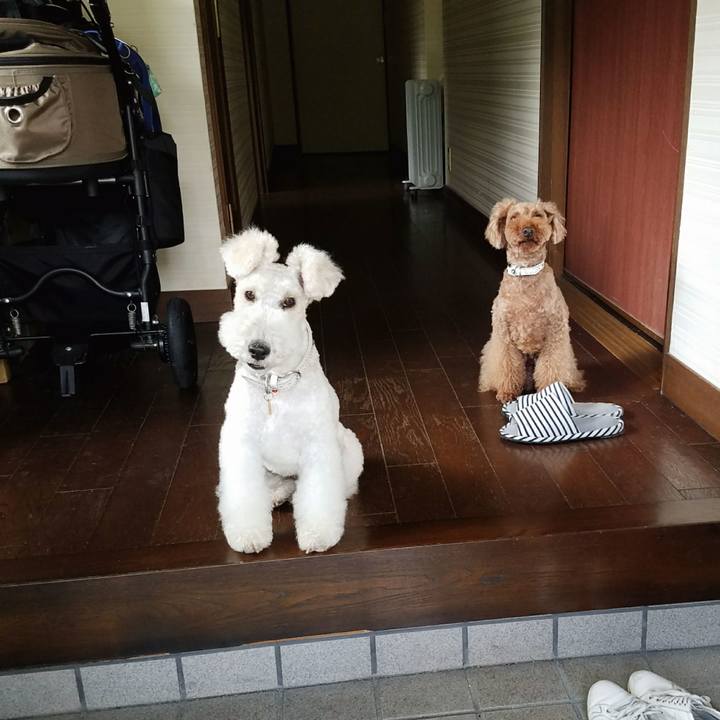 85f7ab92 caed 44b6 bcb7 39ae88dc7bfd 1536622079598