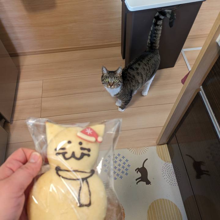 85f7fcc5 c73b 4894 8fe8 7732fb24615e 1701645486735