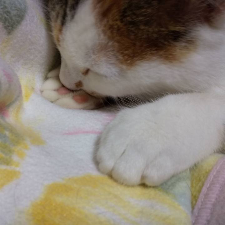 85f8011a 08db 47ff b0b1 960322cf7a4a 1645105201185