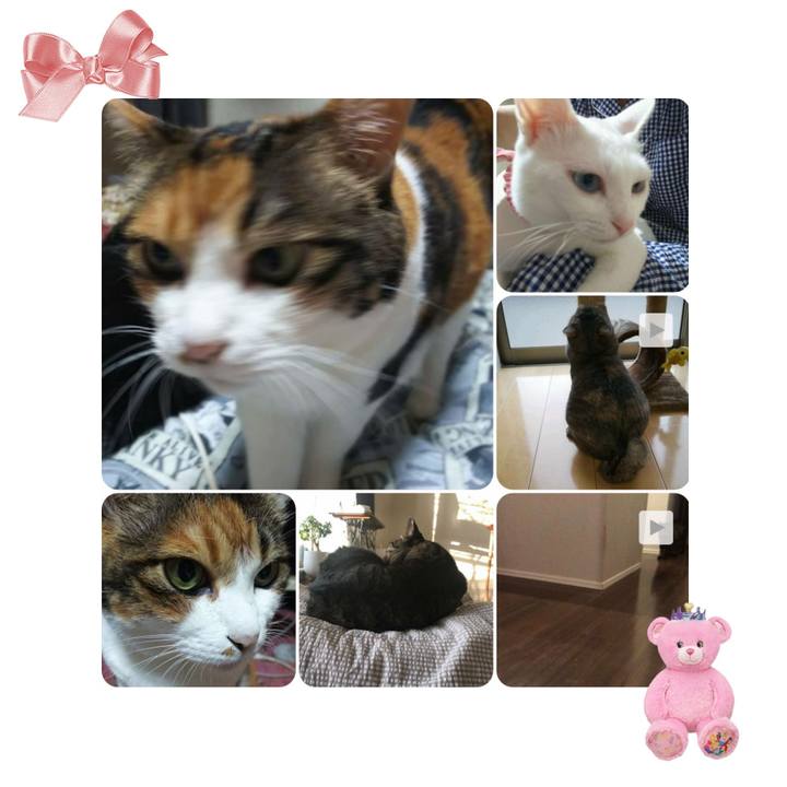 85f89586 d4be 4e43 9a85 2d89054613c2 1567167768866