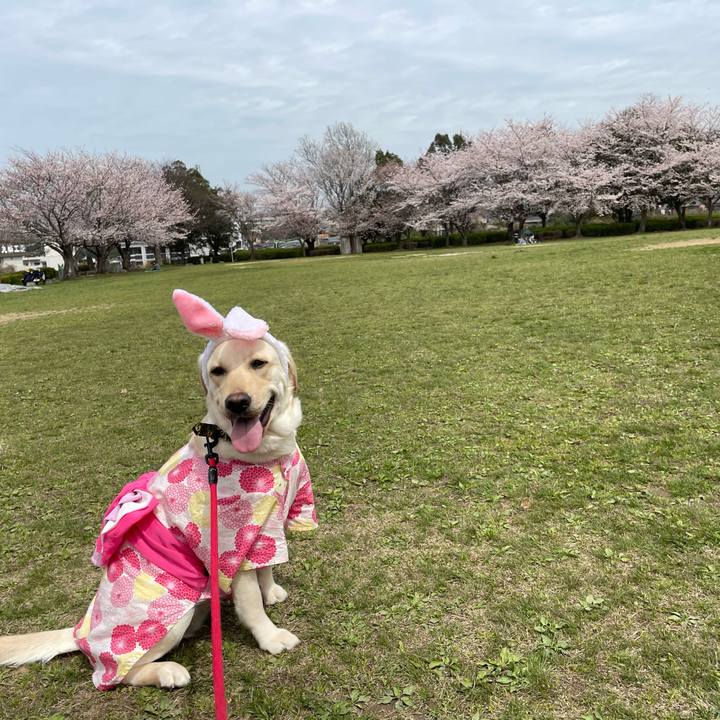 85f8a17b e40a 4c0b 8b25 8d855c083d9c 1648597547132