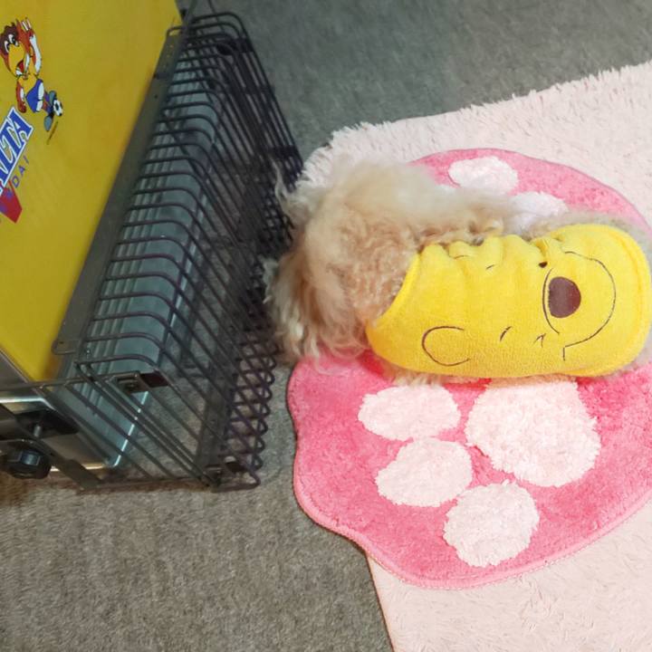 85f8ae4a 555c 409a 989a 5894ad39fa74 1576588225021