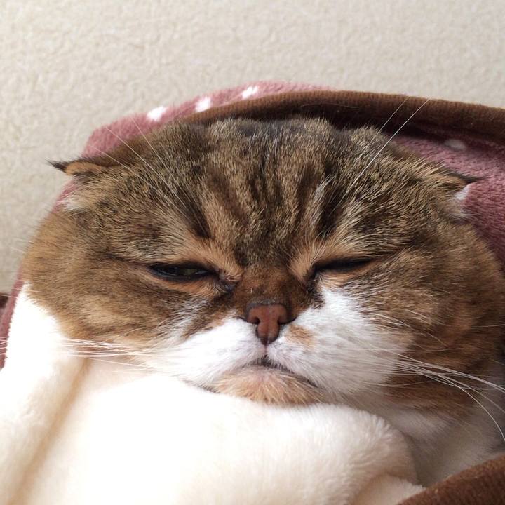 85f8df2b 6772 42ad b6a9 09a3b42922f5 1511862424699