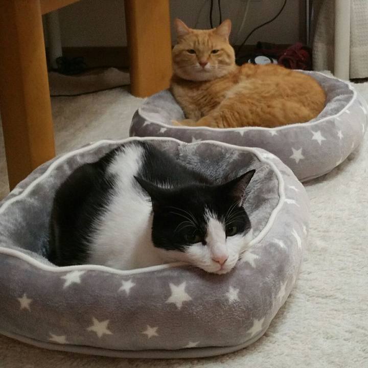 85f8e8b8 d708 467a b88d 61606bd7d9db 1571350557902