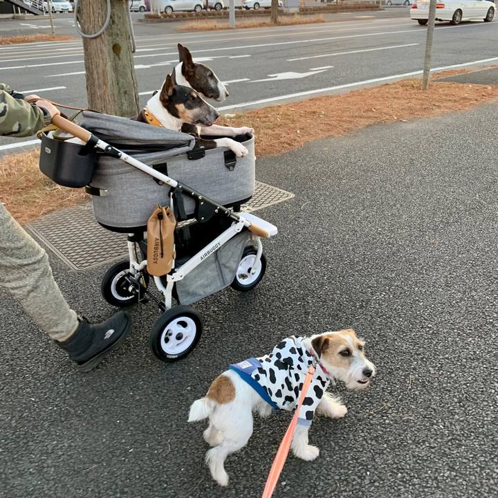 85f95dbd f356 464c 89d3 927abc800f0e 1609588680705